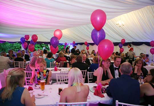 Summer Ball 2013